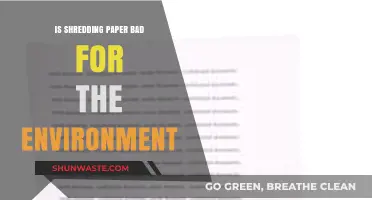 Is Shredding Paper Eco-Friendly? Environmental Impact Explained