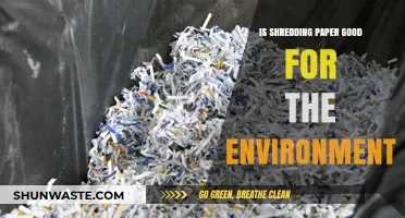 Is Shredding Paper Eco-Friendly? Uncovering the Environmental Impact