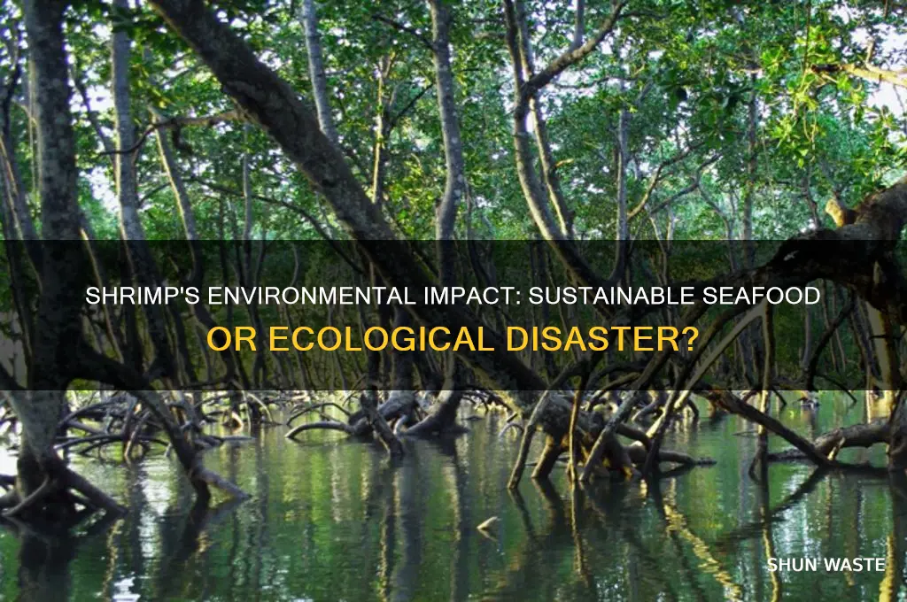 is shrimp bad for the environment