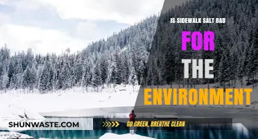 Sidewalk Salt's Environmental Impact: Uncovering the Hidden Ecological Costs