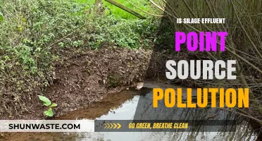 Silage Effluent: Point Source Pollution Explained