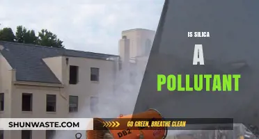 Silica: A Harmful Pollutant or Not?