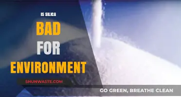 Silica's Environmental Impact: Uncovering the Hidden Ecological Consequences