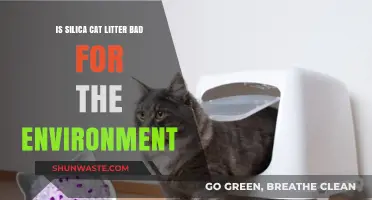 Silica Cat Litter: Eco-Friendly Choice or Environmental Hazard?