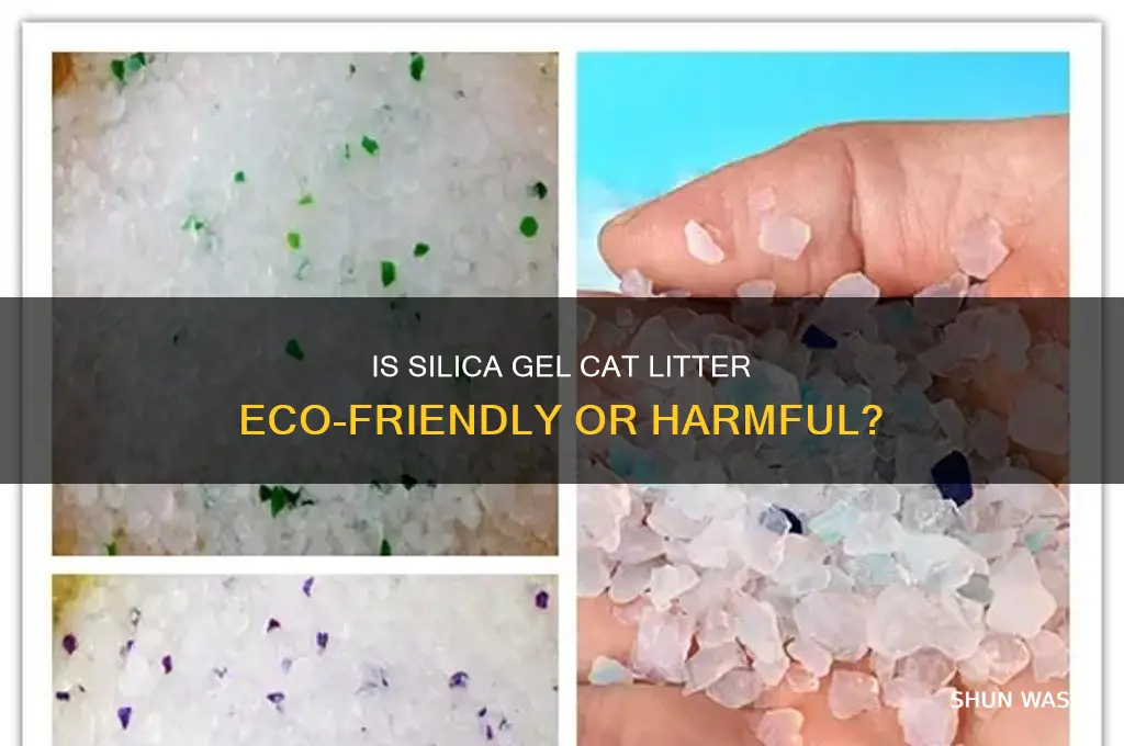 is silica gel litter bad for the environment