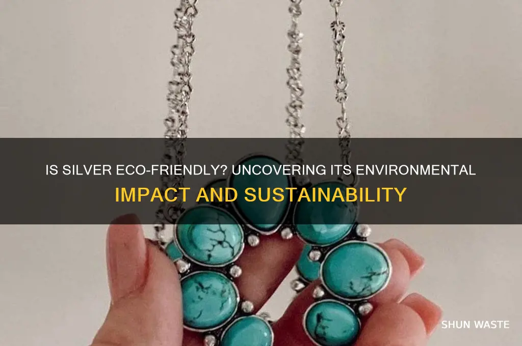 is silver bad for the environment