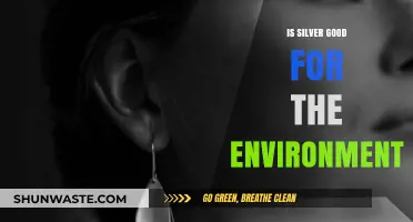 Is Silver Eco-Friendly? Exploring Its Environmental Impact and Sustainability