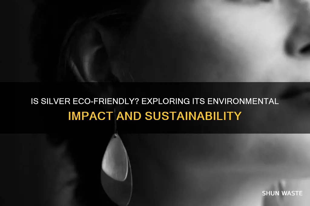 is silver good for the environment