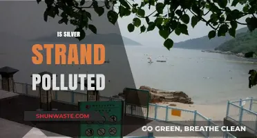 Silver Strand's Pollution Problem: Is it Safe?