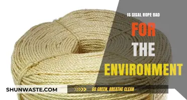 Is Sisal Rope Eco-Friendly? Uncovering Its Environmental Impact