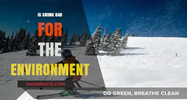 Skiing's Environmental Impact: Sustainable Slopes or Ecological Disaster?