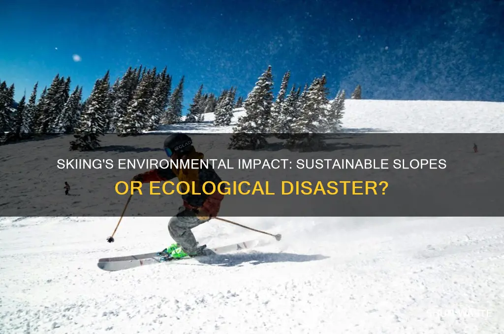 is skiing bad for the environment