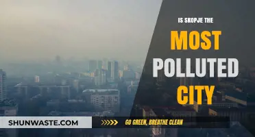 Skopje's Pollution Problem: The Capital's Air Quality Crisis