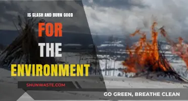 Slash and Burn: Environmental Boon or Ecological Disaster?