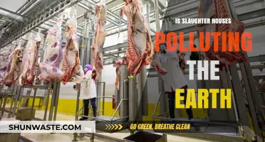 Meat's Dark Secret: Slaughterhouses Polluting Our Planet