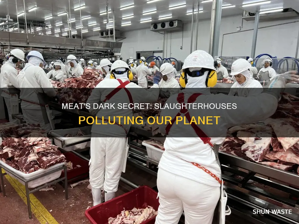 is slaughter houses polluting the earth