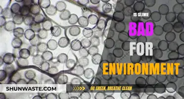 Is Slime Eco-Friendly? Uncovering Its Environmental Impact and Concerns