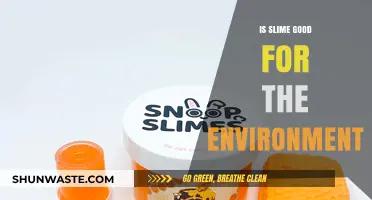 Is Slime Eco-Friendly? Uncovering Its Environmental Impact and Sustainability