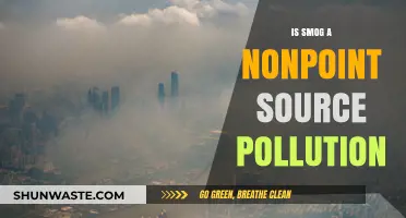Understanding Smog: Nonpoint Source Pollution Explained