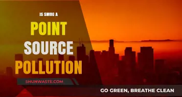 Smog: Point Source Pollution or Not?