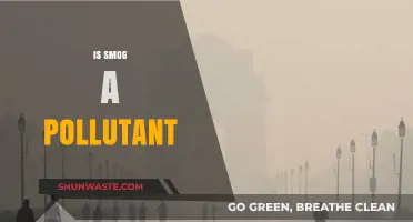 Smog: A Complex Mixture of Air Pollutants