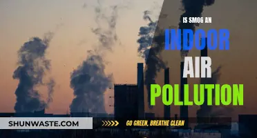 Smog and Indoor Air Quality: What's the Connection?