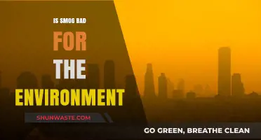 Smog's Environmental Impact: Uncovering the Harmful Effects on Our Planet