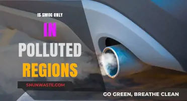 Smog: A Global Problem or Local Issue?