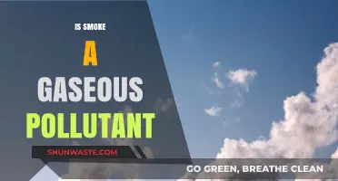 Smoke Pollution: Gaseous or Not?