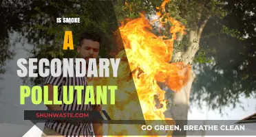 What Makes Smoke a Secondary Pollutant?