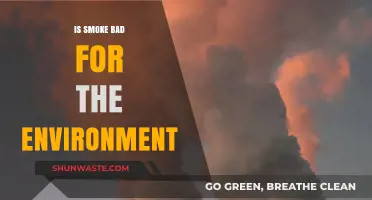 Smoke's Environmental Impact: Uncovering the Harmful Effects on Our Planet