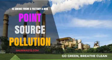 Factory Smoke: Non-Point Source Pollution?