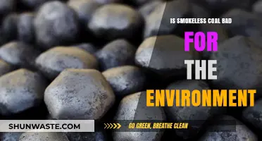 Is Smokeless Coal an Eco-Friendly Alternative or Environmental Hazard?