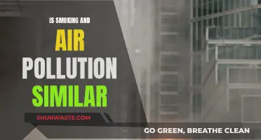 Smoking vs Air Pollution: What's the Real Damage?