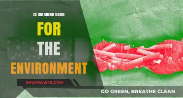 Is Smoking Eco-Friendly? Debunking Myths About Tobacco's Environmental Impact