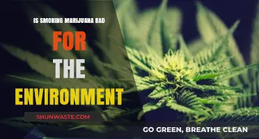 Marijuana's Environmental Impact: Uncovering the Hidden Costs of Cannabis Cultivation