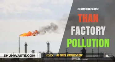 Smoking vs Factory Pollution: Which is More Harmful?