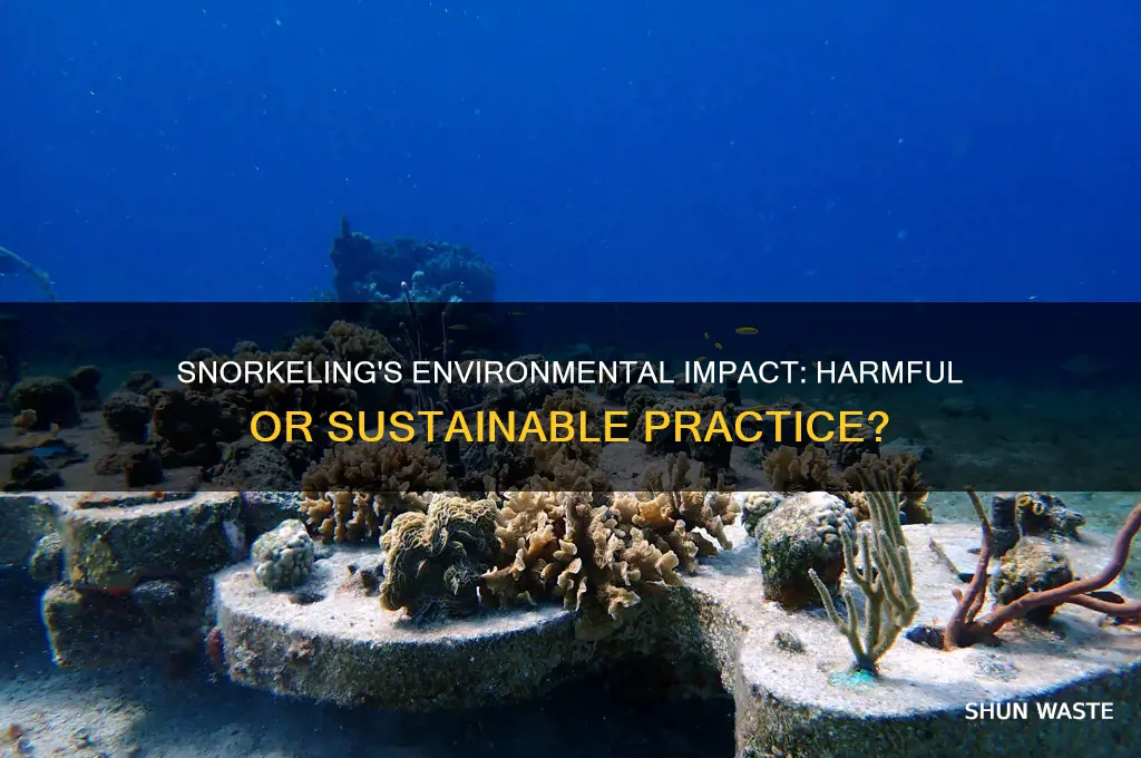 is snorkeling bad for the environment