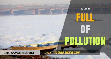 How Polluted Snow Affects Our Health