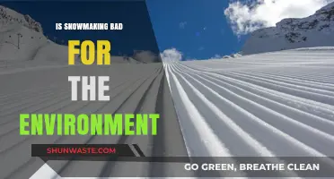 Snowmaking's Environmental Impact: Sustainable Practice or Ecological Concern?