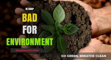 Is Soap Eco-Friendly? Uncovering Its Environmental Impact and Alternatives