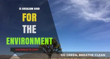 Socialism and Sustainability: Exploring Environmental Impacts and Green Policies