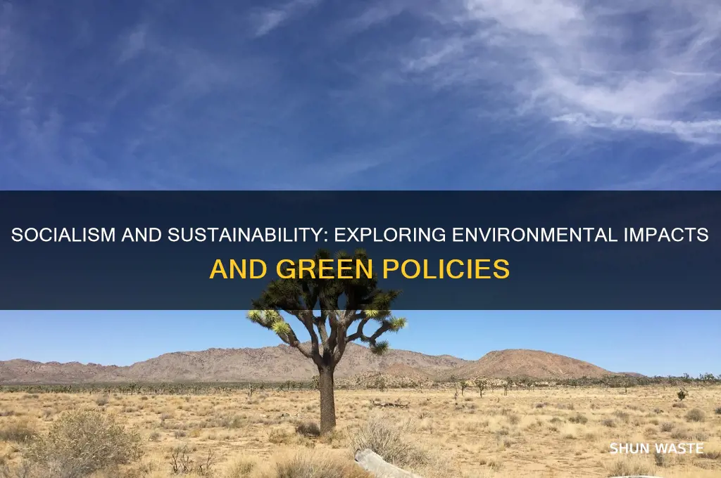 is socialism good for the environment