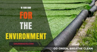 Sod's Environmental Impact: Uncovering the Hidden Costs of Green Lawns