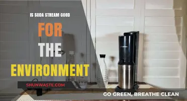 SodaStream vs. Plastic Bottles: Eco-Friendly Choice or Greenwashing?