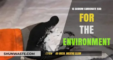 Sodium Carbonate's Environmental Impact: Harmful or Harmless?