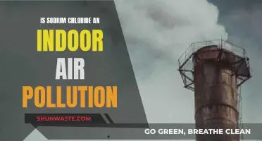 Sodium Chloride: An Indoor Air Pollutant?
