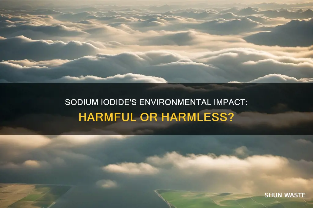 is sodium iodide bad for environment