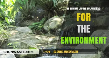 Sodium Lauryl Sulfate: Environmental Impact and Sustainable Alternatives