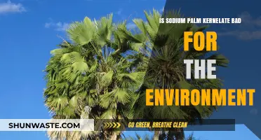 Sodium Palm Kernelate: Environmental Impact and Sustainable Alternatives Explored